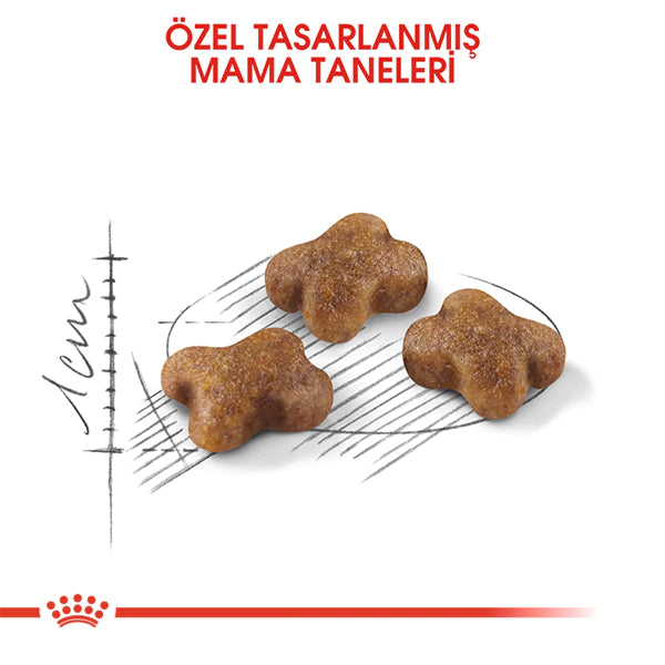 Royal Canin Kitten Yavru Kedi Maması 2kg